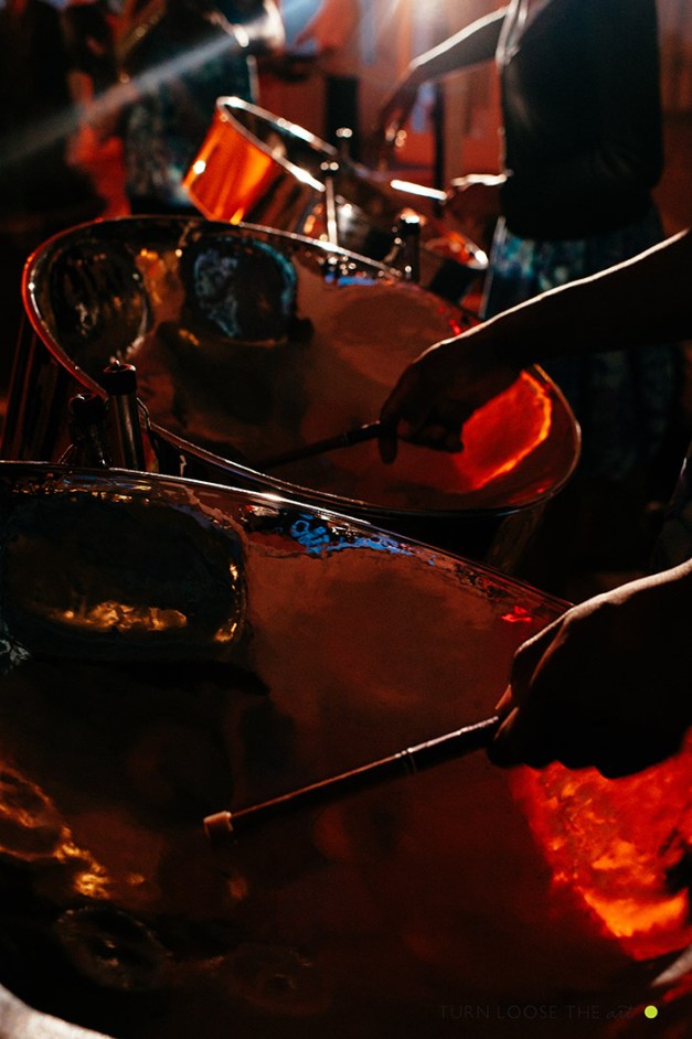 New York Wedding Photographers Turn Loose The Art