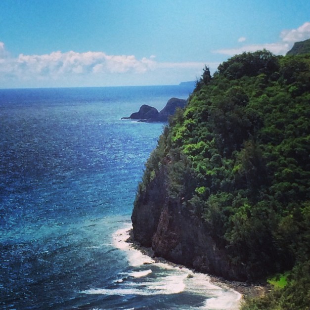 Honeymoon in Kona Hawaii - Thank You Central Park Orchestra